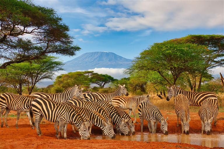 Tansania & Kenia Reise mit Baden ©Mit *HPS* auf Reisen /adobestock
